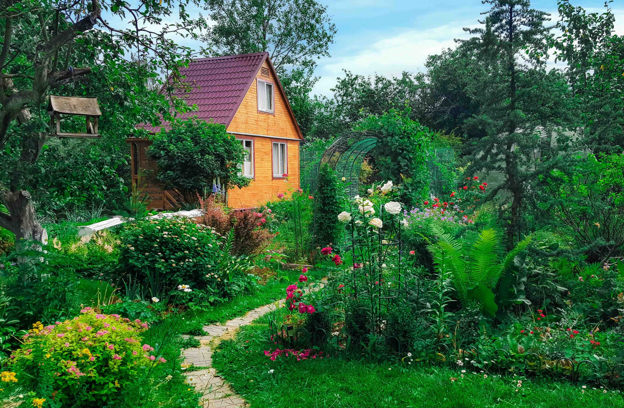 Golden CO ADU Permit Guide from Little Home Builder